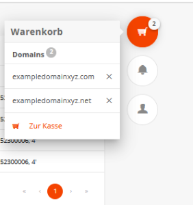 Einzelregistrierung (3)