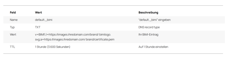Schritt 2 - Einen BIMI TXT-Eintrag zur Domain hinzufügen