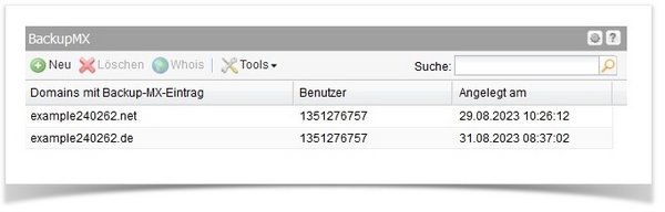 AutoDNS X3 (2)