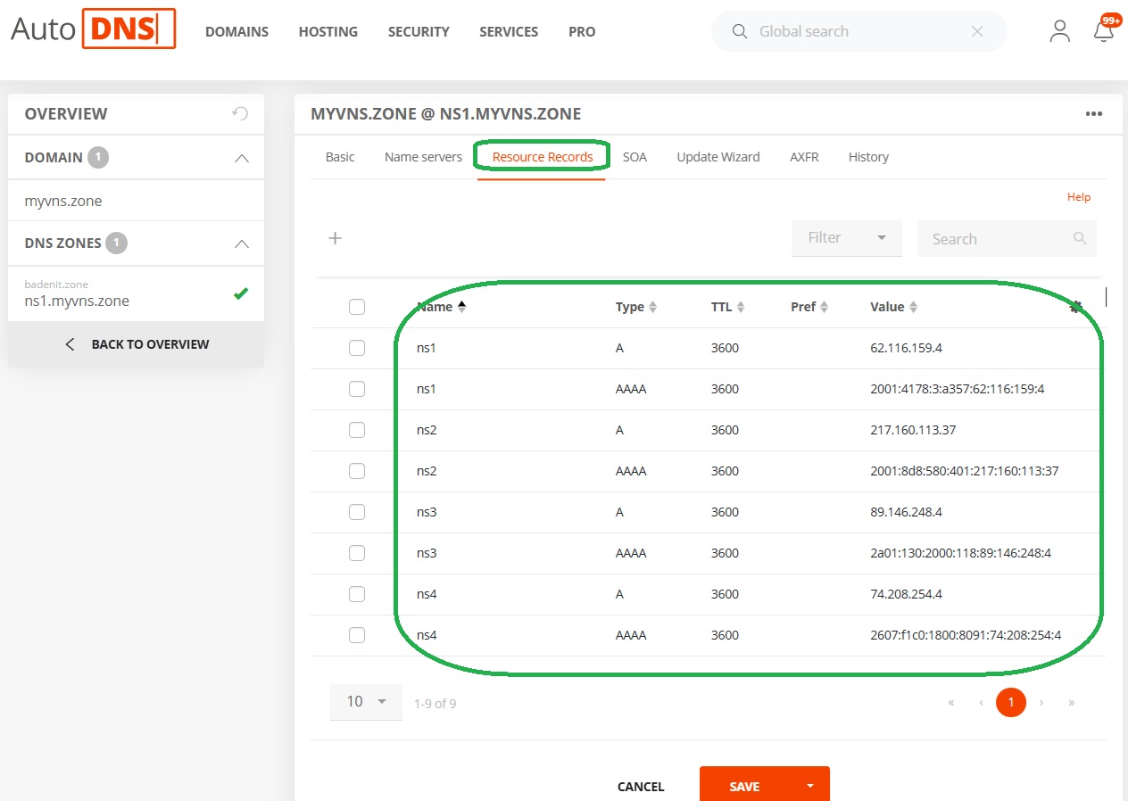 Step 2: Updating the IP addresses of the virtual name servers (2)