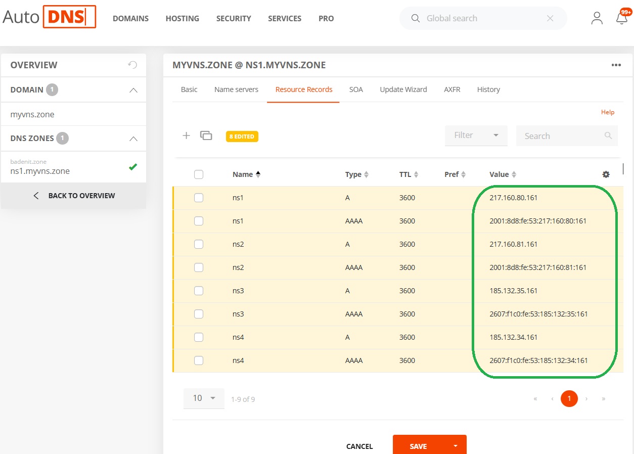 Step 2: Updating the IP addresses of the virtual name servers (3)