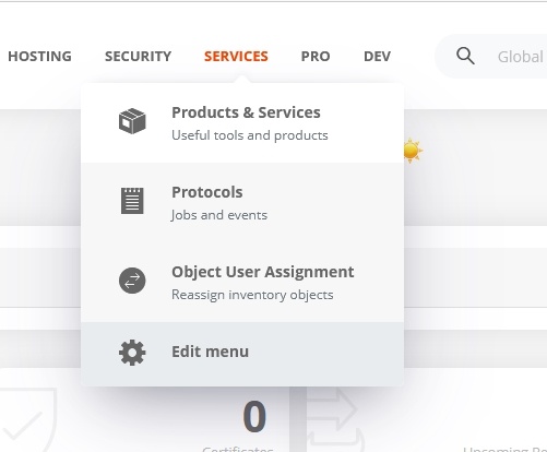 Order a virtual name server (VNS)