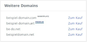 Einstellungen für den Bereich "Weitere Domains" (2)